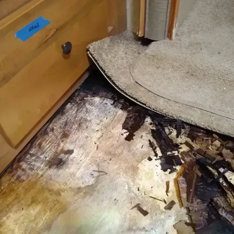 Wood Floor Water Damage in Normal, IL